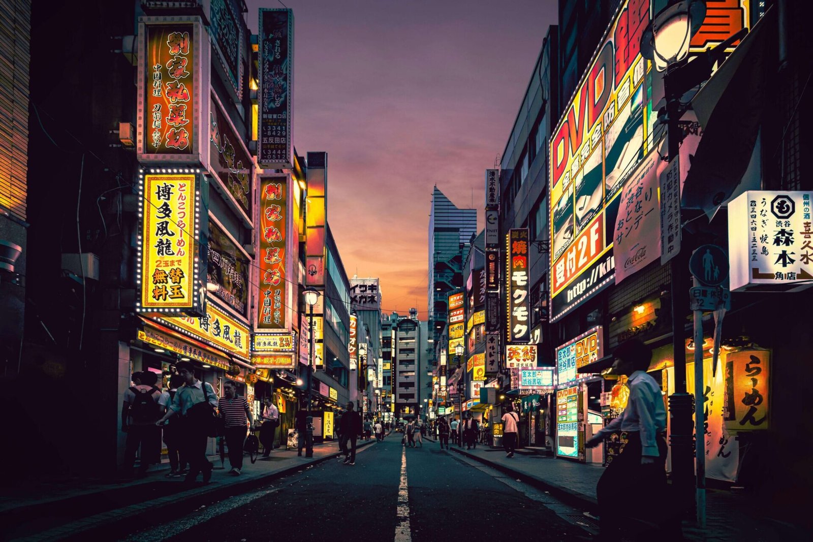 Japan Language School Placement: How to Choose the Right School and Secure Your Admission