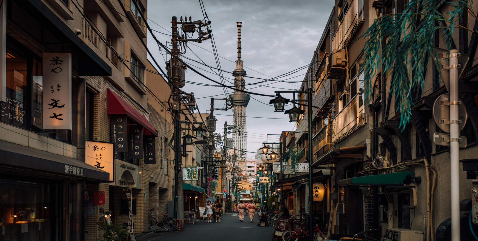 Study In Japan